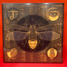Load image into Gallery viewer, JERRY CANTRELL - BRIGHTEN LP - BEER COLOURED VINYL (NEW/SEALED)
