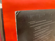 Load image into Gallery viewer, NINE INCH NAILS - GHOSTS I-IV 4XLP - VINYL - RARE! N.I.N.
