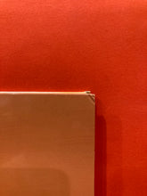 Load image into Gallery viewer, NINE INCH NAILS - YEAR ZERO REMIXED 3XLP - VINYL - RARE! N.I.N. -  И1И31ИCHИ41L5 - Y34RZ3R0R3M1X3D
