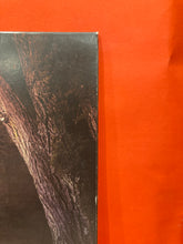 Load image into Gallery viewer, THE AMITY AFFLICTION - CHASING GHOSTS LP - VINYL
