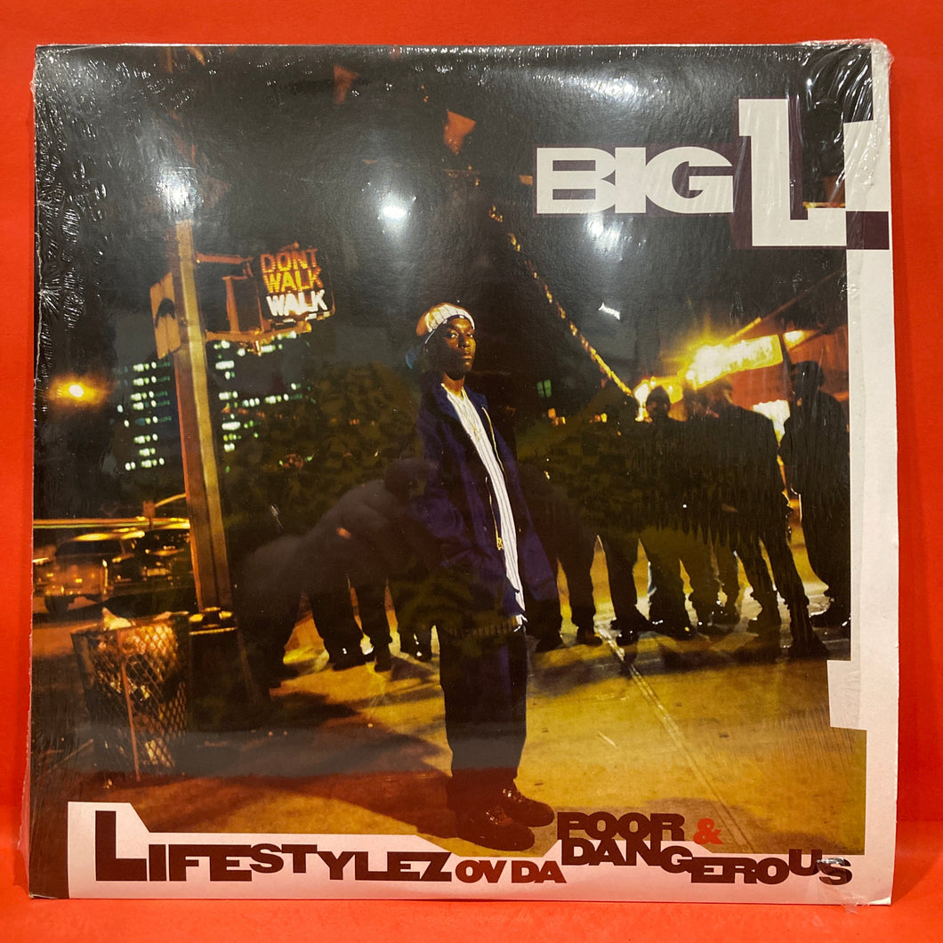 BIG L - LIFESTYLEZ OV DA POOR & DANGEROUS 2XLP - VINYL - RARE! HIP HOP