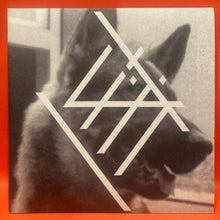 Load image into Gallery viewer, DIAT - EVERYDAY -  VINYL -  7&quot; SINGLE
