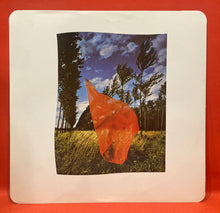 Load image into Gallery viewer, PINK FLOYD - WISH YOU WERE HERE LP - ULTRA RARE SUPERCUT NIMBUS RECORDS VINYL
