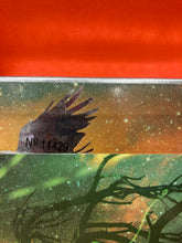 Load image into Gallery viewer, SOUNDGARDEN - BLACK RAIN - 2X CD + DVD = 3XLP COLLECTORS BOX SET - VINYL - (NEW/ SEALED)
