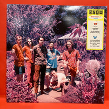Load image into Gallery viewer, KING GIZZARD &amp; THE LIZARD WIZARD - BUTTERFLY 3000 LP - BUTTERFLY BLUE VINYL
