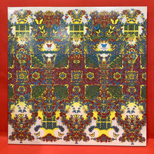 Load image into Gallery viewer, KING GIZZARD &amp; THE LIZARD WIZARD - BUTTERFLY  LP - CATERPILLAR RED VINYL
