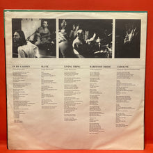 Load image into Gallery viewer, THE BADLOVES - HOLY ROADSIDE -  VINYL
