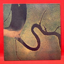 Load image into Gallery viewer, DEAD CAN DANCE - THE SERPENT'S EGG - LTD. ED HYBRID SACD
