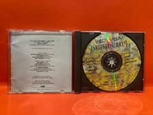 Load image into Gallery viewer, VSPYVSPY -  XENOPHOBIA (WHY?) - CD - RARE - SPY V SPY / V.SPY V.SPY
