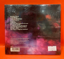 Load image into Gallery viewer, STIGMATO INC - REALITY CHECK - CD (NEW/SEALED)
