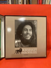 Load image into Gallery viewer, BOB MARLEY &amp; THE WAILERS - THE BOX SET - 9X LP VINYL
