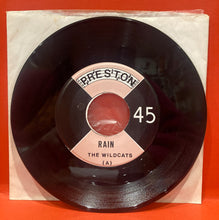 Load image into Gallery viewer, THE WILDCATS - RAIN -  7" SINGLE - VINYL

