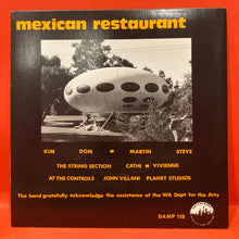 Load image into Gallery viewer, THE SUMMER SUNS - ALL AWAY -  7" SINGLE - VINYL
