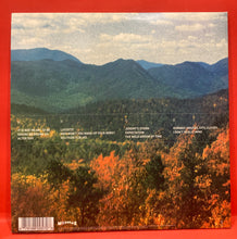 Load image into Gallery viewer, TAME IMPALA - INNERSPEAKER 2XLP - VINYL - ORIGINAL 2010 45-RPM PRESS
