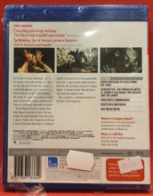 Load image into Gallery viewer, PAN&#39;S LABYRINTH - BLU-RAY - DVD (SEALED)
