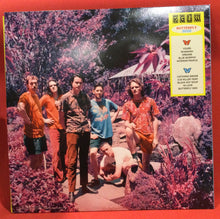 Load image into Gallery viewer, KING GIZZARD AND THE LIZARD WIZARD - BUTTERFLY 3000 (RED VINYL)
